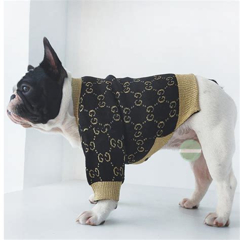 french bulldog gucci clothes